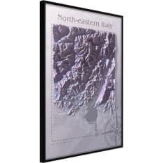 Poster - Raised Relief Map: North-Eastern Italy