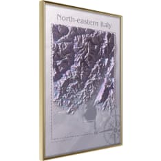 Artgeist Raised Relief Map: North-Eastern Italy juliste