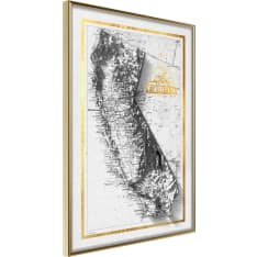 Poster - Raised Relief Map: California