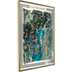 Artgeist Raised Relief Map: Eastern Norway juliste