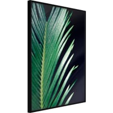 Artgeist Soothing Green juliste