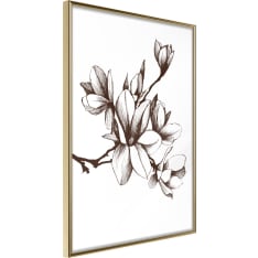 Poster - Fragrant Decoration