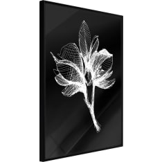 Artgeist White Plant juliste