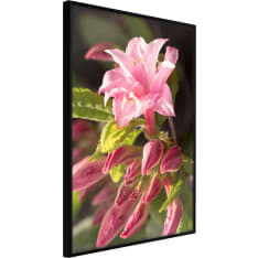 Poster - Garden's Centerpiece