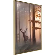 Poster - Forest Seclusion