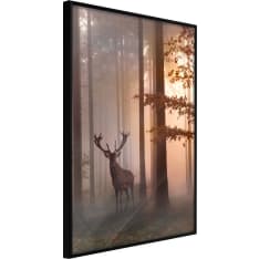 Artgeist Forest Seclusion juliste