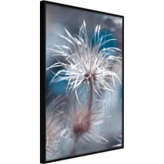 Artgeist Like A Dandelion juliste
