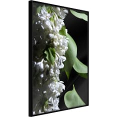 Artgeist Fragrant Spring juliste
