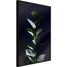 Poster - Floral Elegance