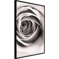Artgeist Structure Of Petals juliste