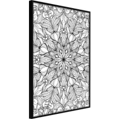 Poster - Colourless Mandala