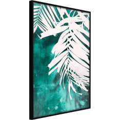 Poster - White Palm on Teal Background