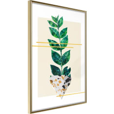 Poster - Perfectly Divided