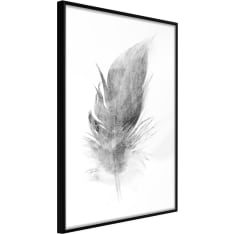 Artgeist Lost Feather (Grey) juliste