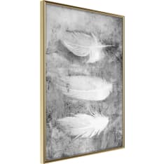 Poster - Delicate Feathers