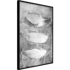 Artgeist Delicate Feathers juliste