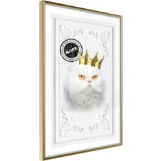 Poster - Cat Rules II