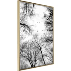 Artgeist Treetops juliste
