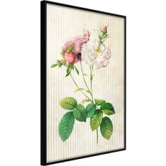Poster - Romance I