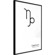 Artgeist Zodiac: Capricorn Ii juliste