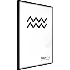 Artgeist Zodiac: Aquarius Ii juliste