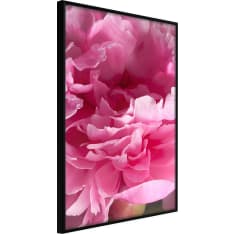 Artgeist Magenta Madness juliste