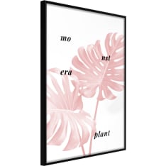 Artgeist Pale Pink Monstera juliste