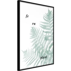 Artgeist Pale Green Fern juliste
