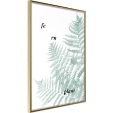Artgeist Pale Green Fern Poster