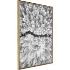 Poster - Frost Land