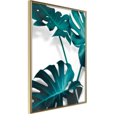 Artgeist Turquoise Monstera Ii juliste