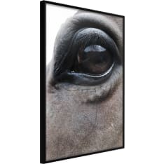 Poster - Gentle Eyes