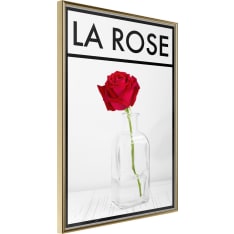 Poster - Rose in the Vase