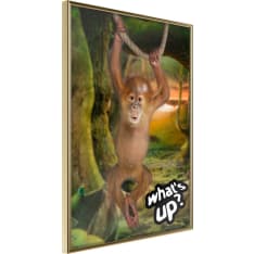 Poster - Life in the Jungle