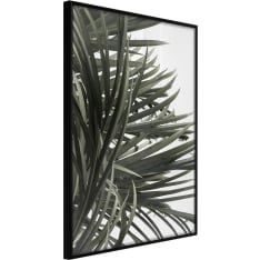 Artgeist Little Tropics juliste