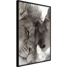 Artgeist Predatory Couple juliste
