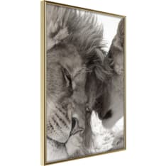 Artgeist Predatory Couple juliste