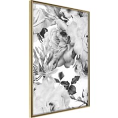 Artgeist Black And White Nature juliste