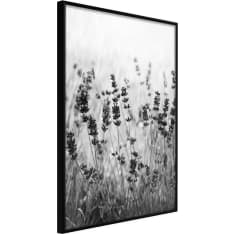 Artgeist Shadow Of Meadow juliste