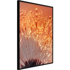 Artgeist Orange Breath Of the Summer juliste