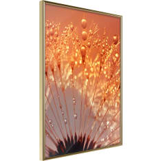 Poster - Orange Breath of the Summer
