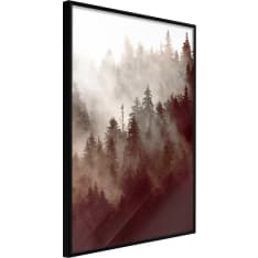 Poster - Forest Fog