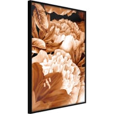 Artgeist Peonies In Sepia juliste