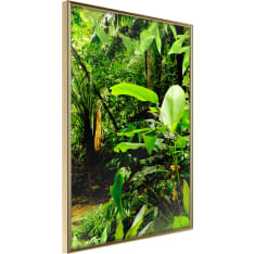 Artgeist In The Rainforest juliste