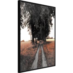 Artgeist Field Path juliste