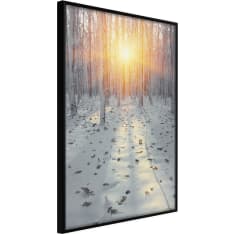Artgeist Frosty Sunset juliste