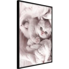 Artgeist Tangled In Sweater juliste