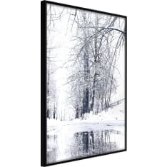 Poster - Snowy Park