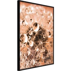 Artgeist Drops On Dandelion Poster
