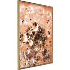 Artgeist Drops On Dandelion juliste